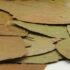 Feuilles de Dadap (10g)