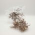 Branches Bonsaï - Dry Tree (20g)