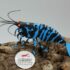 3D Deluxe - Blue Tiger OE