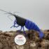 3D - Blue Shadow Mosura