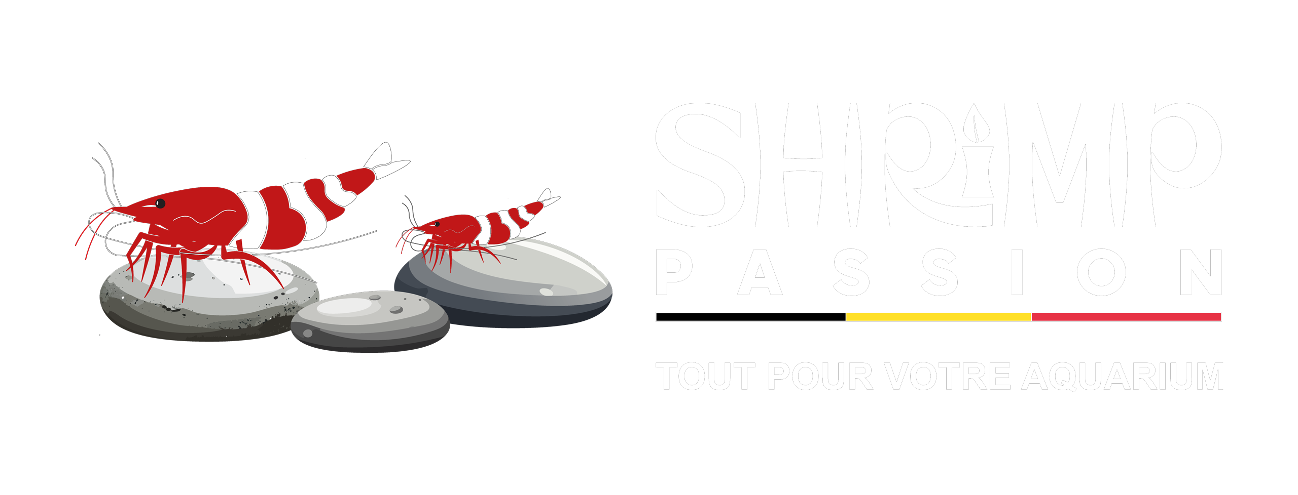 Shrimp Passion